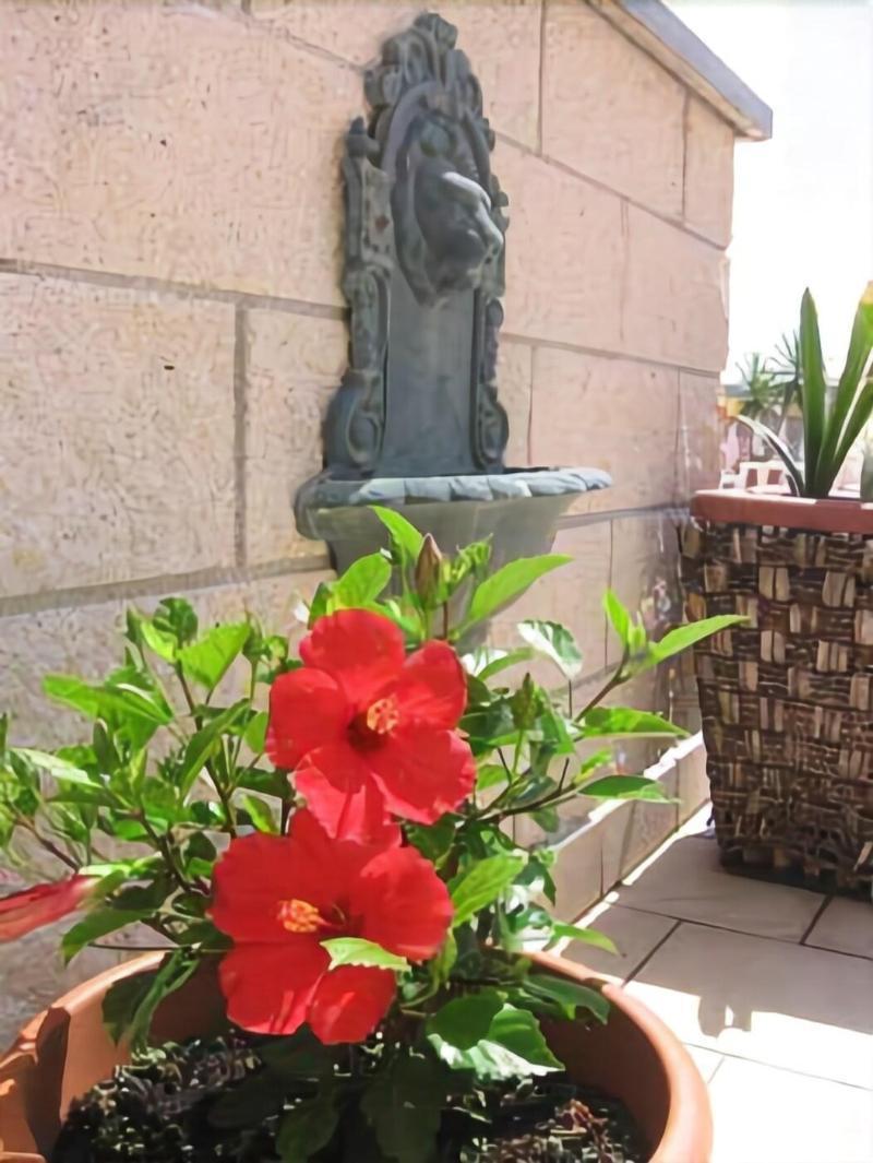 Hotel Garden Viareggio Zewnętrze zdjęcie